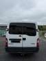Renault Master Maxi dCi 120 Weiß - thumbnail 6