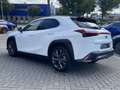 Lexus UX 300h Ultimate Edition DIRECT LEVERBAAR EL-ACHTERKLEP ST Weiß - thumbnail 5