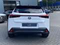 Lexus UX 300h Ultimate Edition DIRECT LEVERBAAR EL-ACHTERKLEP ST Weiß - thumbnail 4