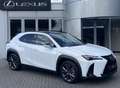 Lexus UX 300h Ultimate Edition DIRECT LEVERBAAR EL-ACHTERKLEP ST Weiß - thumbnail 1