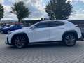 Lexus UX 300h Ultimate Edition DIRECT LEVERBAAR EL-ACHTERKLEP ST Weiß - thumbnail 6