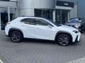 Lexus UX 300h Ultimate Edition DIRECT LEVERBAAR EL-ACHTERKLEP ST Weiß - thumbnail 2