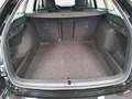 Skoda Octavia OCTAVIA COMBI 1.5 TSI DSG SELECTION LED AUDIO WINT Nero - thumbnail 15