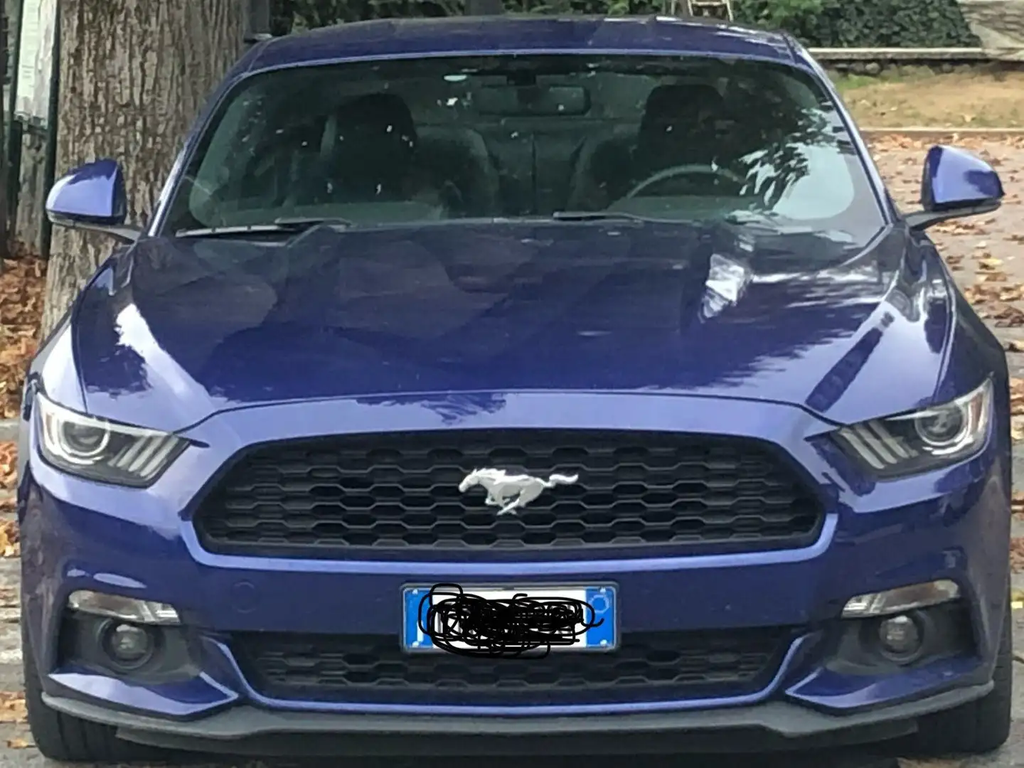 Ford Mustang Mustang Fastback 2.3 ecoboost 317cv auto Blu/Azzurro - 1