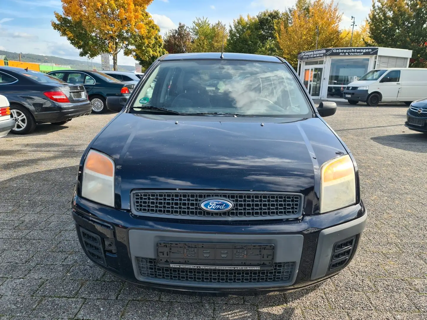 Ford Fusion Fun X Blau - 2