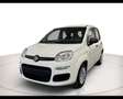Fiat Panda Pandina 1.0 firefly hybrid 5Posti+Pack City KM0 Bianco - thumbnail 1