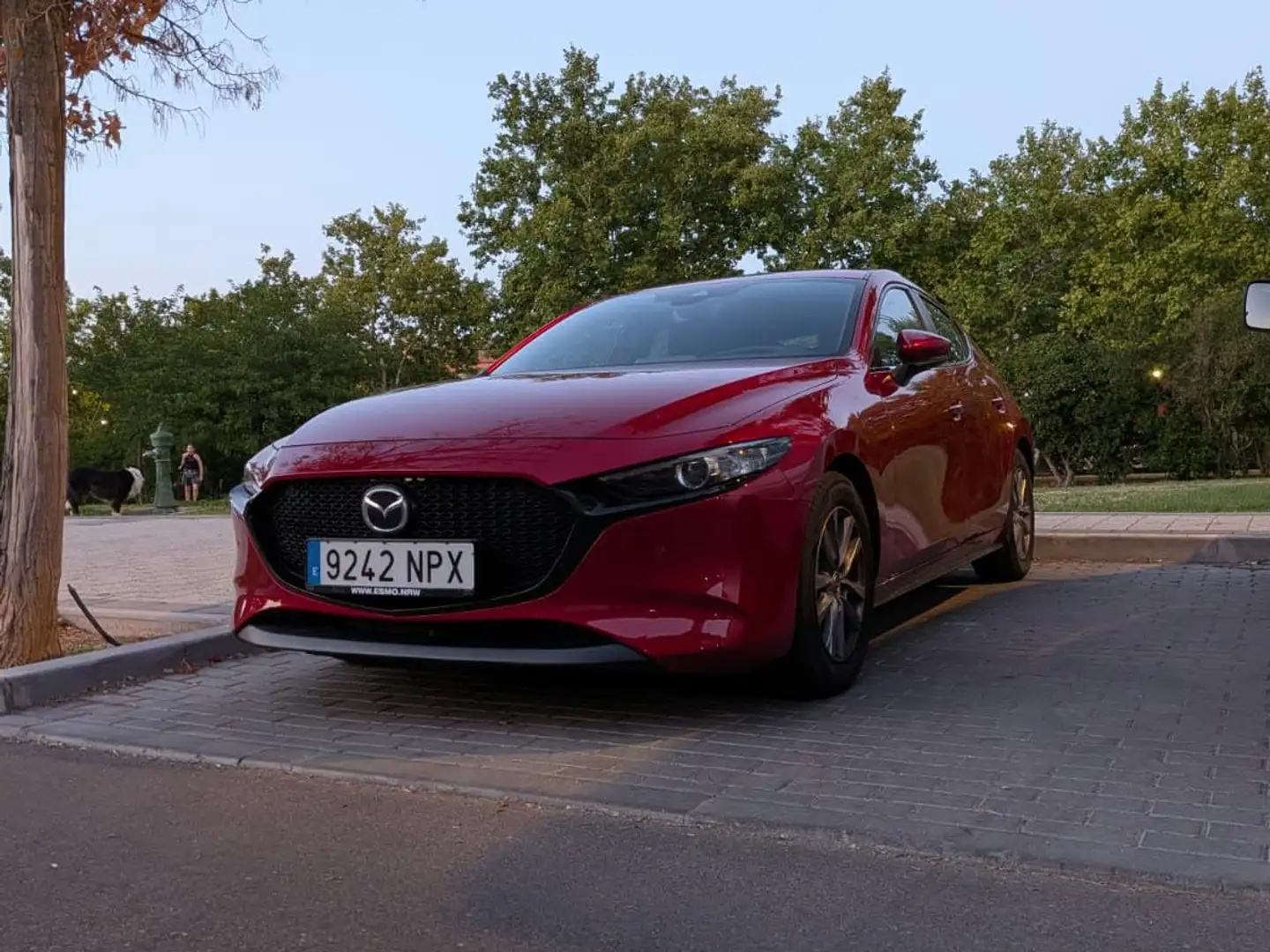 Mazda 3 Mazda3 2.0 e-Skyactiv-G Evolution 90kW Evolution - 1