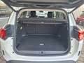 Citroen C5 Aircross 1.5 BlueHDi 130cv EAT8 SHINE Usato Garantito Bianco - thumbnail 7