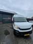 Iveco Daily 35C14V 2.3 Super bus! goed onderhouden Wit - thumbnail 4