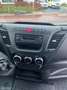 Iveco Daily 35C14V 2.3 Super bus! goed onderhouden Wit - thumbnail 16