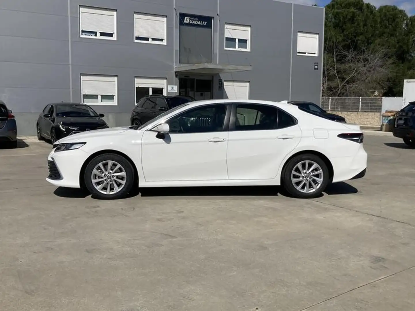 Toyota Camry Camry Luxury - 2