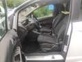 Ford B-Max Sync Edition HU NEU Weiß - thumbnail 12