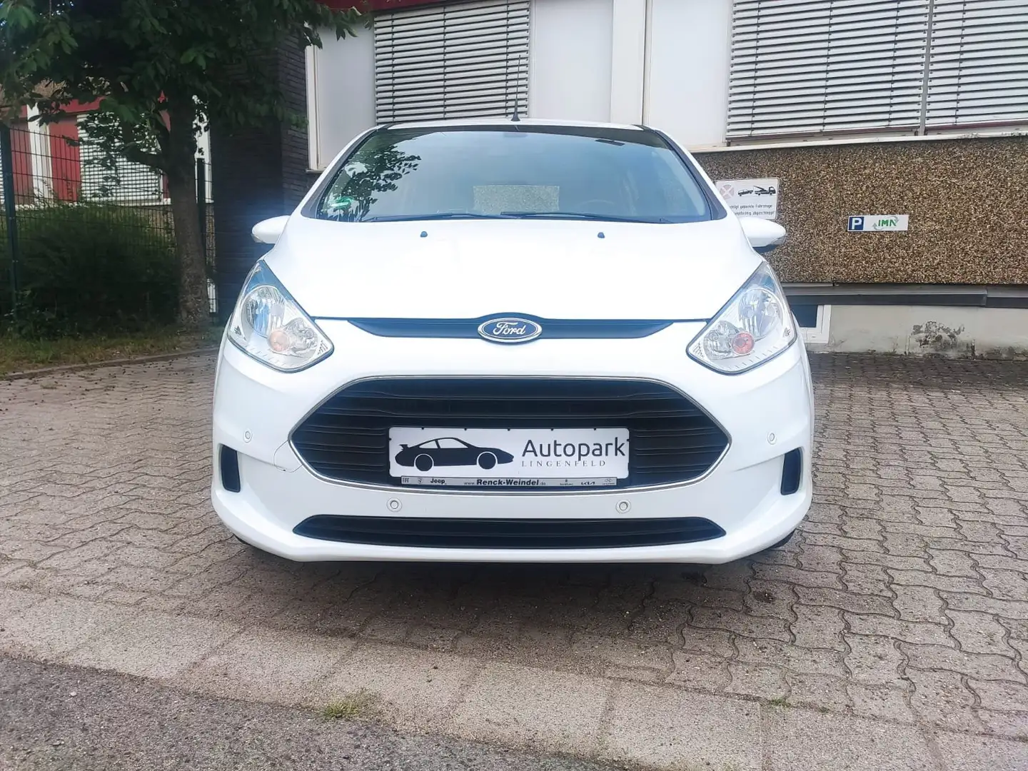 Ford B-Max Sync Edition HU NEU Weiß - 2