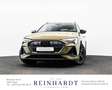 Audi e-tron 55 2x S LINE BLACK MTRX/ACC/HuD/PANO/360° Grün - thumbnail 1