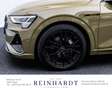 Audi e-tron 55 2x S LINE BLACK MTRX/ACC/HuD/PANO/360° Grün - thumbnail 10