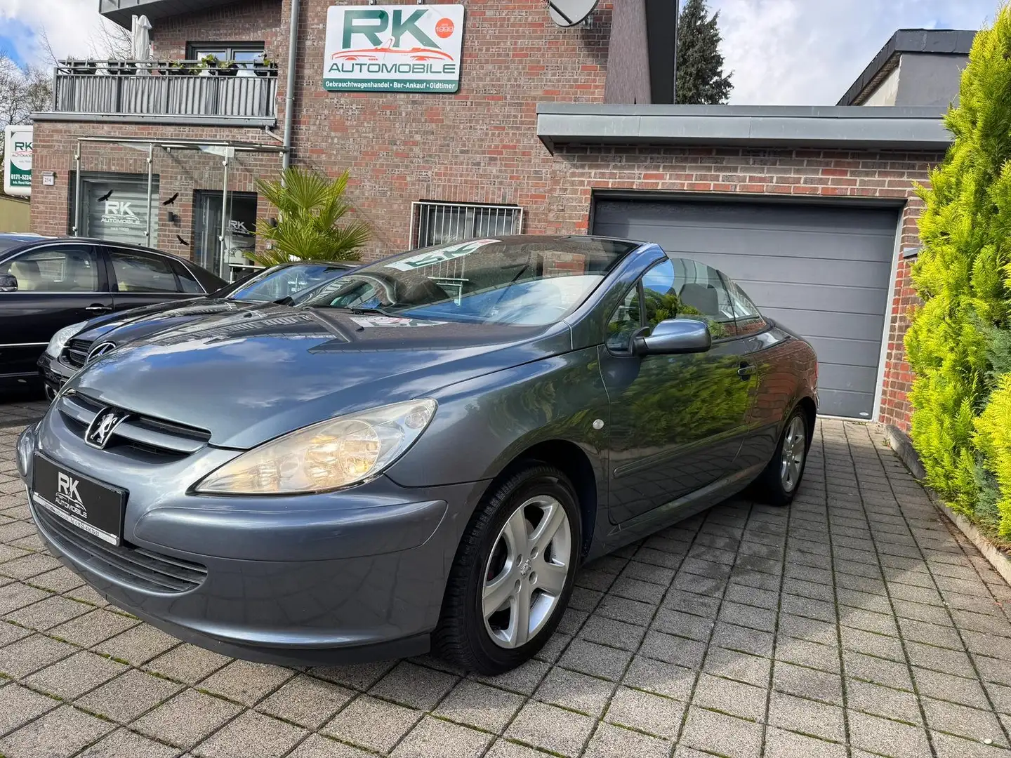 Peugeot 307 Basis Grau - 1