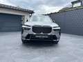BMW X7 xDrive 40d G07 B57 Grau - thumbnail 2