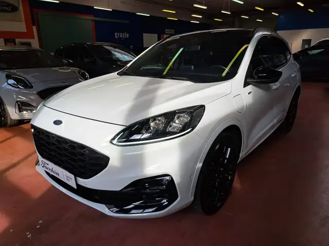 2023 Ford Kuga in White for sale