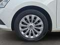 Skoda Fabia C. 1.0 TSI Ambition APP+PDC+SHZ Klima Weiß - thumbnail 10