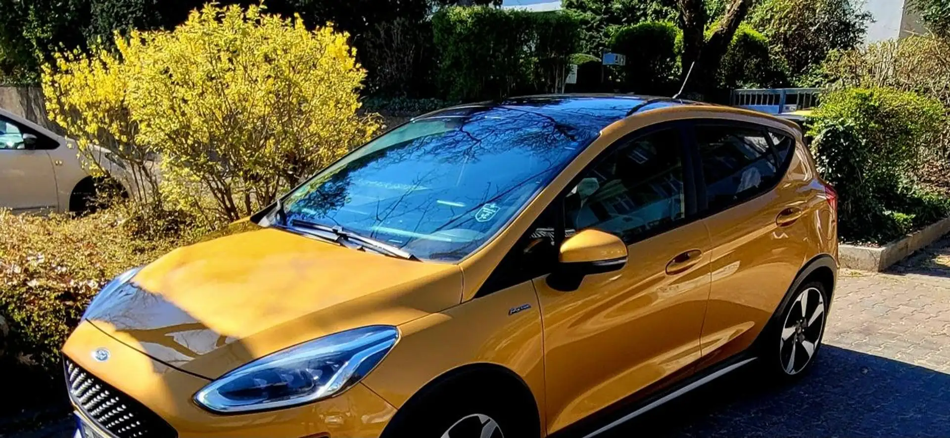 Ford Fiesta 1.0 EcoBoost S Active Colourline Жовтий - 2