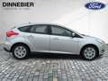 Ford Focus 1.0 74kW Klima SHZ+ LenkradHZ DynLi W-Paket Silber - thumbnail 7