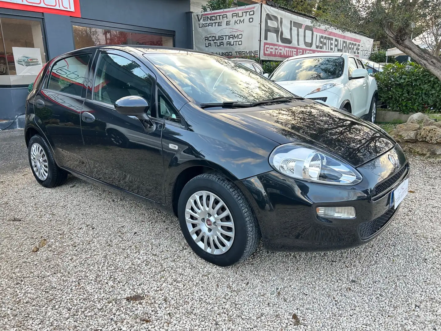 Fiat Punto 1.4 GPL 5P NEOPATENTATI Nero - 1