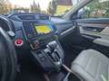 Honda CR-V Executive Allrad Automatik Schwarz - thumbnail 22