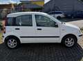 Fiat Panda Panda 1.2 Dynamic *1 Jahr TÜV* Weiß - thumbnail 3