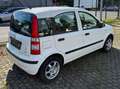 Fiat Panda Panda 1.2 Dynamic *1 Jahr TÜV* Weiß - thumbnail 4