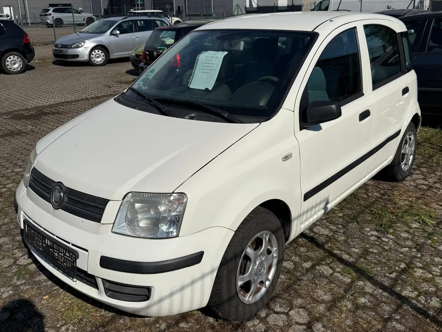 Fiat Panda Panda 1.2 Dynamic *1 Jahr TÜV* Weiß - 1