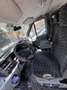 Ford Transit Blu/Azzurro - thumbnail 5