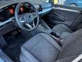 Volkswagen Golf 1.0 etsi evo Life 110cv dsg Grau - thumbnail 33