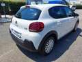 Citroen C3 BlueHDi 100 S&S Van Feel Bianco - thumbnail 4