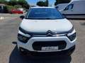 Citroen C3 BlueHDi 100 S&S Van Feel Bianco - thumbnail 3