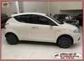 Lancia Ypsilon 1.2 69cv GOLD EURO6 NEOPATENTATI Blanc - thumbnail 9