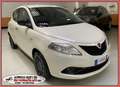 Lancia Ypsilon 1.2 69cv GOLD EURO6 NEOPATENTATI Blanc - thumbnail 4