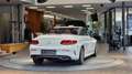 Mercedes-Benz C 220 d Cabrio AMG-Paket Aut. *Rotem Akkustik-Verdeck* Bianco - thumbnail 15