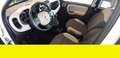 Fiat Panda 4X4 Benzina Twinair Argento - thumbnail 10