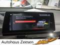 BMW X2 sDrive18i Advantage Plus LED PDC NAVI HUD - thumbnail 9