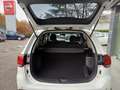 Mitsubishi Outlander 2.0 4WD GPL CVT Intense 1°PROP-KM CERTIFICATI Bianco - thumbnail 6