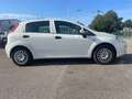 Fiat Punto Weiß - thumbnail 7