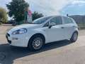Fiat Punto Weiß - thumbnail 6