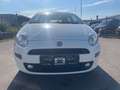 Fiat Punto Weiß - thumbnail 3