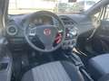 Fiat Punto Weiß - thumbnail 13