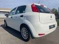 Fiat Punto Weiß - thumbnail 11
