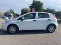 Fiat Punto Weiß - thumbnail 5