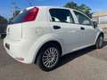 Fiat Punto Weiß - thumbnail 8