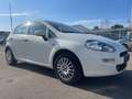 Fiat Punto Weiß - thumbnail 1