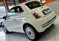 Fiat 500 500 III 1.2 Lounge 69cv "OK NEO PATENTATI" Bianco - thumbnail 6