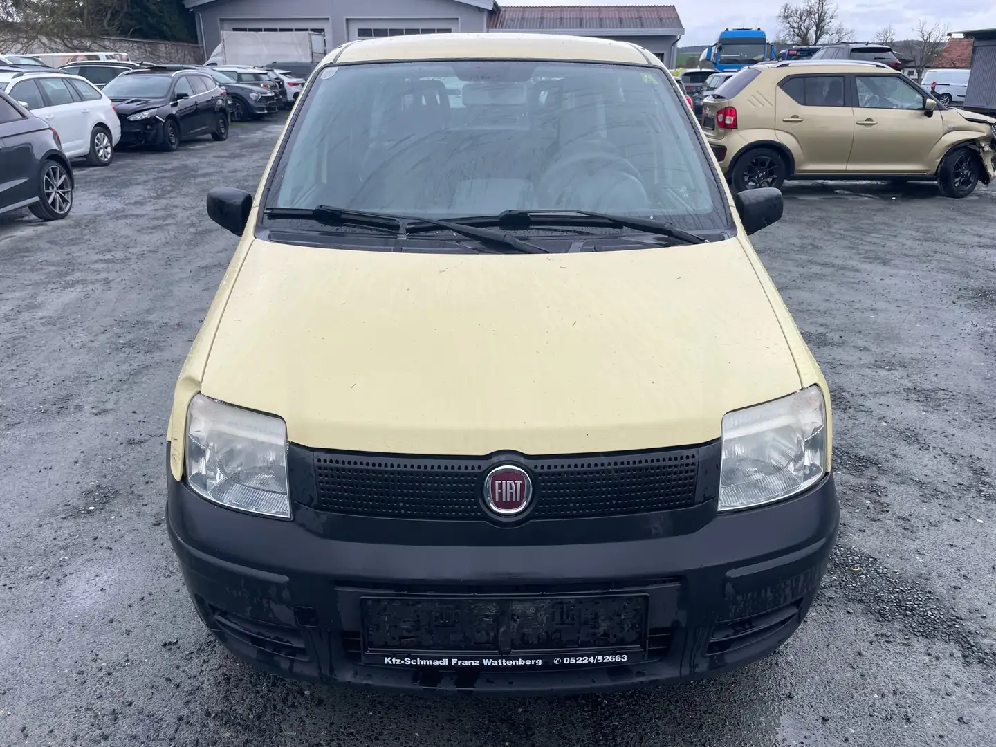 Fiat Panda 1.2 8V Trekking 4X4 Allrad Klima Export Gelb - 2